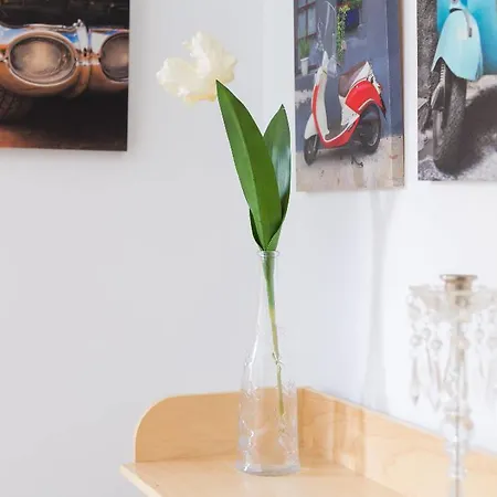 La Higuera * San Cristóbal de La Laguna