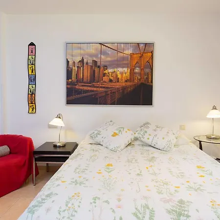 La Higuera Apartment San Cristóbal de La Laguna
