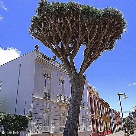 La Higuera La Laguna (Tenerife)